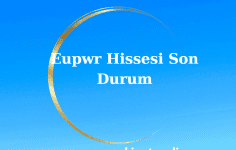 Eupwr Hissesi Son Durum