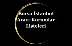 Borsa İstanbul Aracı Kurumlar Listeleri
