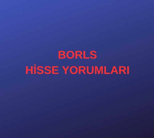 BORLS HİSSE YORUMLARI