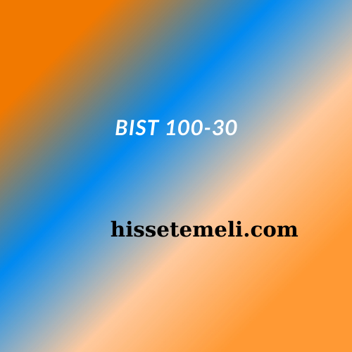 BIST 100-30