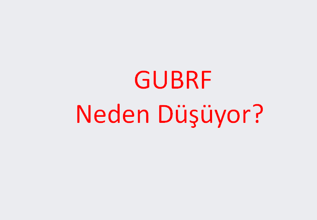 GUBRF Neden Düşüyor?